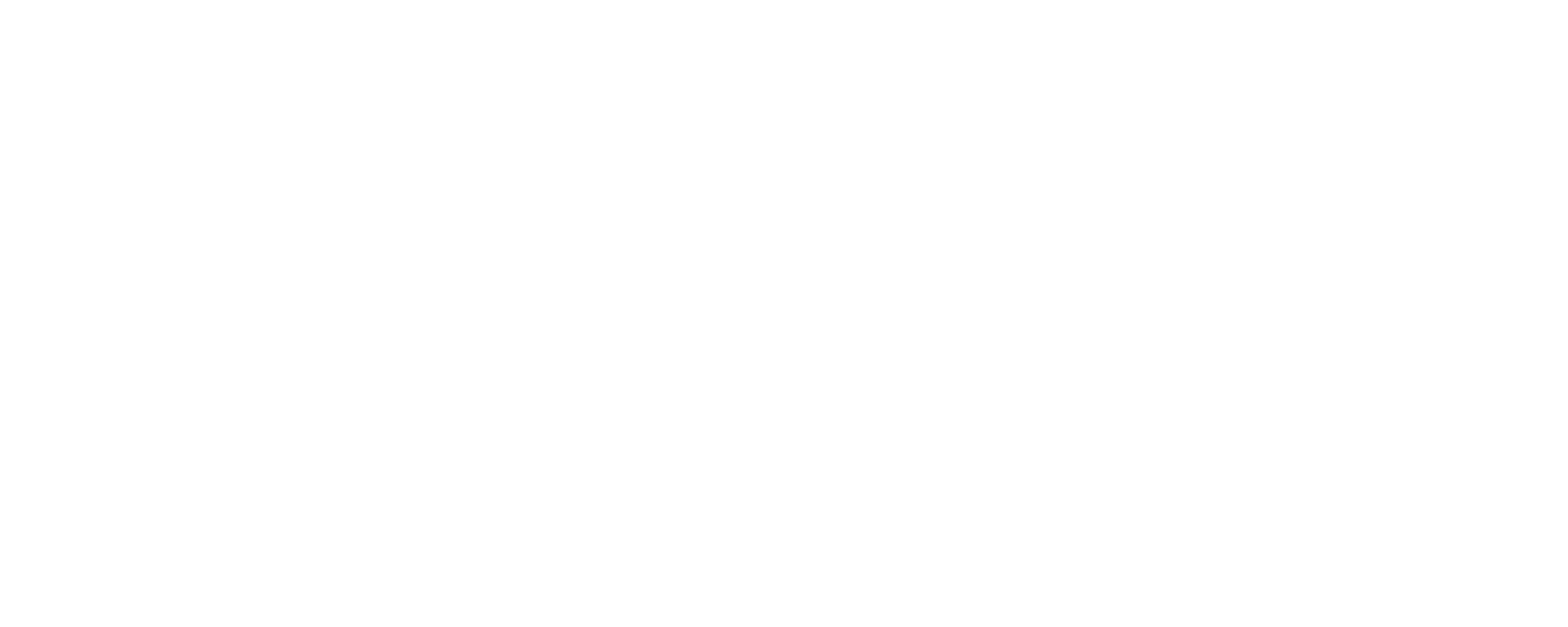 Onyxis Healthcare - final Logo(white)